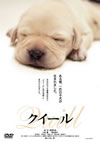 ???? [DVD]