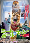 ????????????c?? ???<???????? ???????('13?????) [DVD]