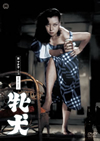 ??? [DVD]