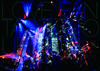 C???[?VE FANTASTIC TOUR 2014????????????????????????????? [DVD]