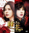 ?[??????????? ?????c?????BOX1??21??T??? [DVD]