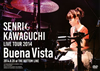 V??e????[?NRI KAWAGUCHI LIVE TOUR 2014 Buena Vista 2014.8.20 at THE BOTTOM LINE [DVD]