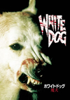 ??????????????L???'82P? [DVD]