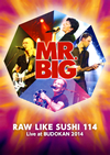 MR.BIG[????????? 114????????????E??C 2014??2??T??? [DVD]