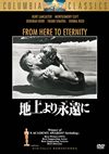 ??????㮌????'53P? [DVD]