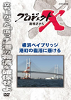 ????????X ???????? 㦅?????????? 㶈??㏧㲎?????? [DVD]