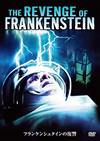 ????????????㏧?('58?? [DVD]
