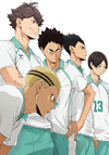 ??????! ????????? Vol.8 [DVD]