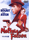 ?????X ????('41P? [DVD]