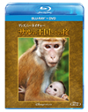 ???c??????????c? ??????????('15P???2??T??? [Blu-ray]