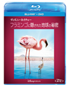 ???c??????????c? ?????????????????????N?('08P???2??T??? [Blu-ray]