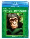 ???c??????????c? ???????? ???????C??12P???2??T??? [Blu-ray]