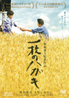 ??????? [DVD]