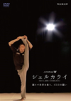 ??????c????? ?????? ?????????????[?41?????? [DVD]