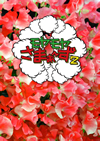 ?????????????2 DVD-BOX[?Vol.28[?Vol.29[???2??T??? [DVD]