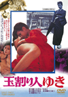 ?????⸍???? [DVD]