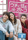 ??????????? DVD BOX-1??6??T??? [DVD]