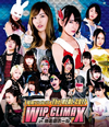???????? The REAL 2017 WIP CLIMAX in 8.29 ]?㣏????????2??T??? [Blu-ray]