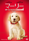 ????? ?????????????????????????? ??G('08P? [DVD]