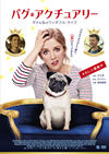 ???????????? ???<???????????????('18?? [DVD]