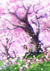 ??????? ?????????????????M?????i??M???????T??? [Blu-ray]