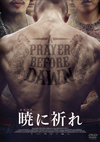 ??????('17?? [DVD]