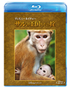 ???c??????????c? ??????????('15P? [Blu-ray]