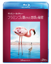 ???c??????????c? ?????????????????????N?('08P? [Blu-ray]