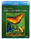 ???c??????????c? ?????????????????'13P? [Blu-ray]