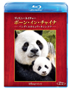 ???c??????????c? ???????????c???-???????????????????('16??ⶇ??P? [Blu-ray]
