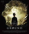 ????????????????('19???????) [Blu-ray]
