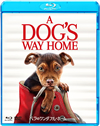 ????????????????? ???????DVD?????('19P???2??T??? [Blu-ray]