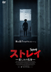 ????? ????????'19???? [DVD]