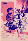 PEDRO[?FE IS HARD TOUR FINAL [DVD]
