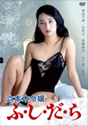 ???CK ?????????? [DVD]