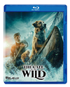 ??????0('20P? [Blu-ray]