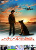 ???????????? [DVD]