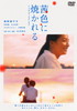 ??????????? [DVD]