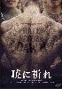 ?????? ?????c????????'17?? [DVD]
