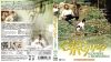 ?????????????? HD??????? BD[?DVD BOX('69???2??T??? [Blu-ray]