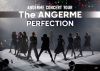 ???????[?NCERT TOUR-The ANGERME-PERFECTION [DVD]