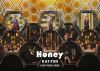 KAT-TUN[?T-TUN LIVE TOUR 2022 Honey??2??T??? [DVD]