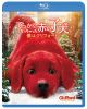 ??c?????c?<???c??䳂??L?? ???????????('21P? [Blu-ray]
