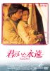 ???????㮌??[????[?('99E?? [DVD]