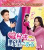 ?????F?????????????? BOX1 ???????????????VD-BOX????????M????c????T??? [DVD]