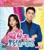 ?????F?????????????? BOX2 ???????????????VD-BOX????????M????c????T??? [DVD]