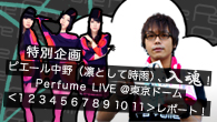 [特集]<br />ピエール中野（凛として時雨）、入魂！ Perfume LIVE @東京ドーム「1 2 3 4 5 6 7 8 9 10 11」レポート！