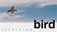 [インタビュー]<br />普段言えないことを、歌に託して――birdの新作『MY LOVE』は、夏のラブ・ソングを収録したカヴァー集