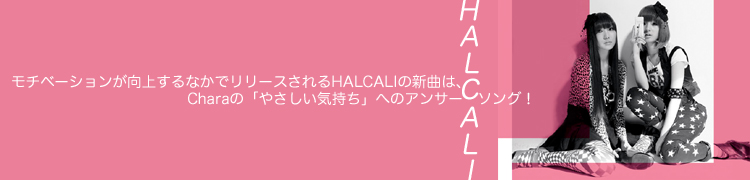 ١󤬸夹ʤǥ꡼HALCALIοʤϡCharaΡ֤䤵פؤΥ󥵡󥰡