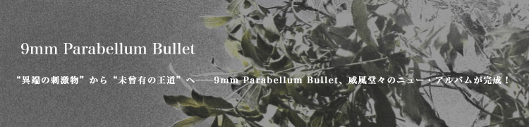 Ȱüλɷʪɤ̤ͭβƻɤب9mm Parabellum BulletƲΥ˥塼Хब